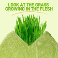 8Pcs Natural Grass Chew Toy with Catnip for Cat Teething and Hairball Removal