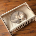 Elevated Flower Cat Bed, 55Cm L&W Large Cat Sofa, Stylish Cats Chair with Highly Elastic Soft Cushion, Furniture for Sleeping for All Cats