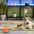 Tug of War Dog Toy