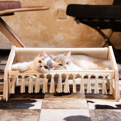 Elevated Flower Cat Bed, 55Cm L&amp;W Large Cat Sofa, Stylish Cats Chair with Highly Elastic Soft Cushion, Furniture for Sleeping for All Cats